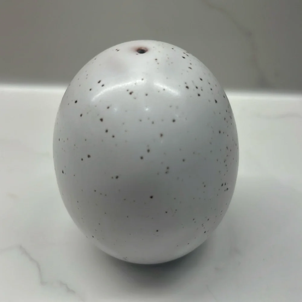 West Elm speckled egg ceramic salt/pepper shaker. With one single hole ONLY 1 av